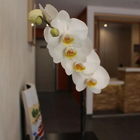 Hotel Yatt 3*